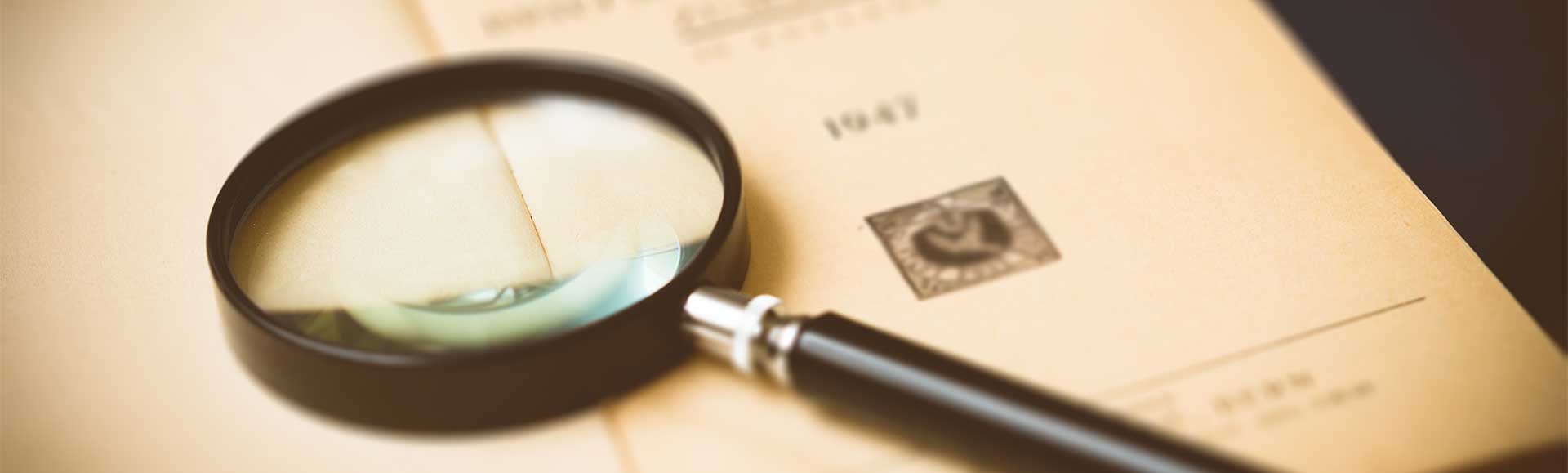 Book Page Magnifying Glass Search